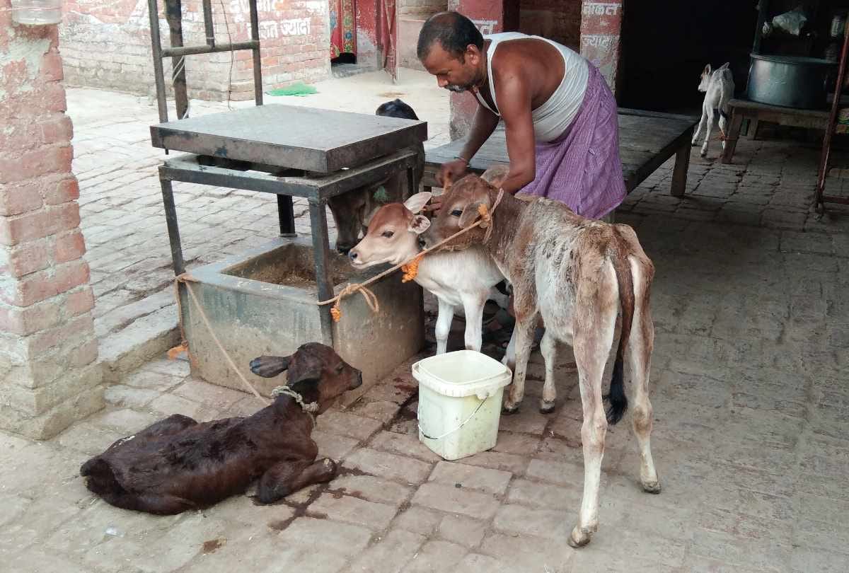 shopkeeper bhagwan give food to the hungry children daily