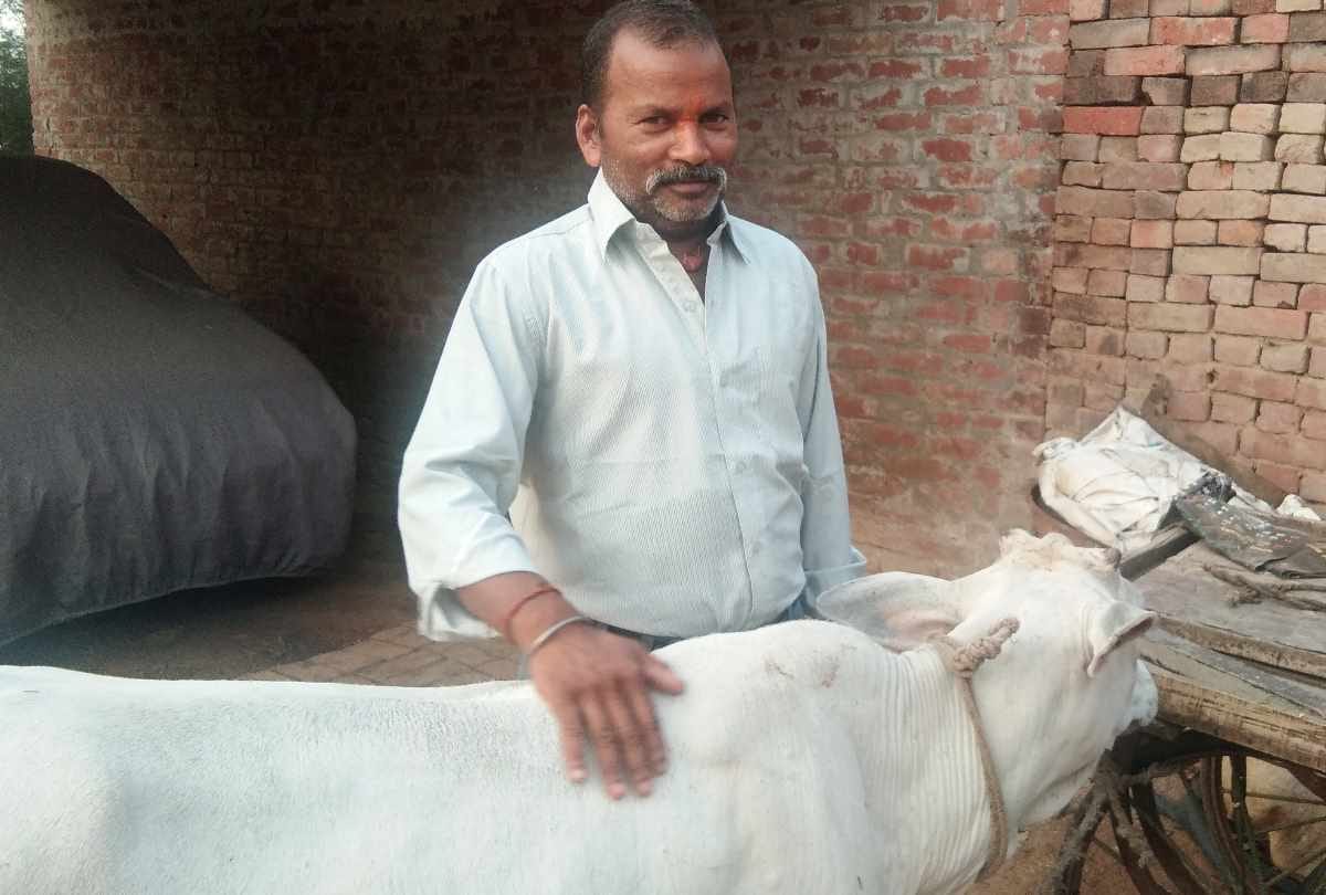 shopkeeper bhagwan give food to the hungry children daily