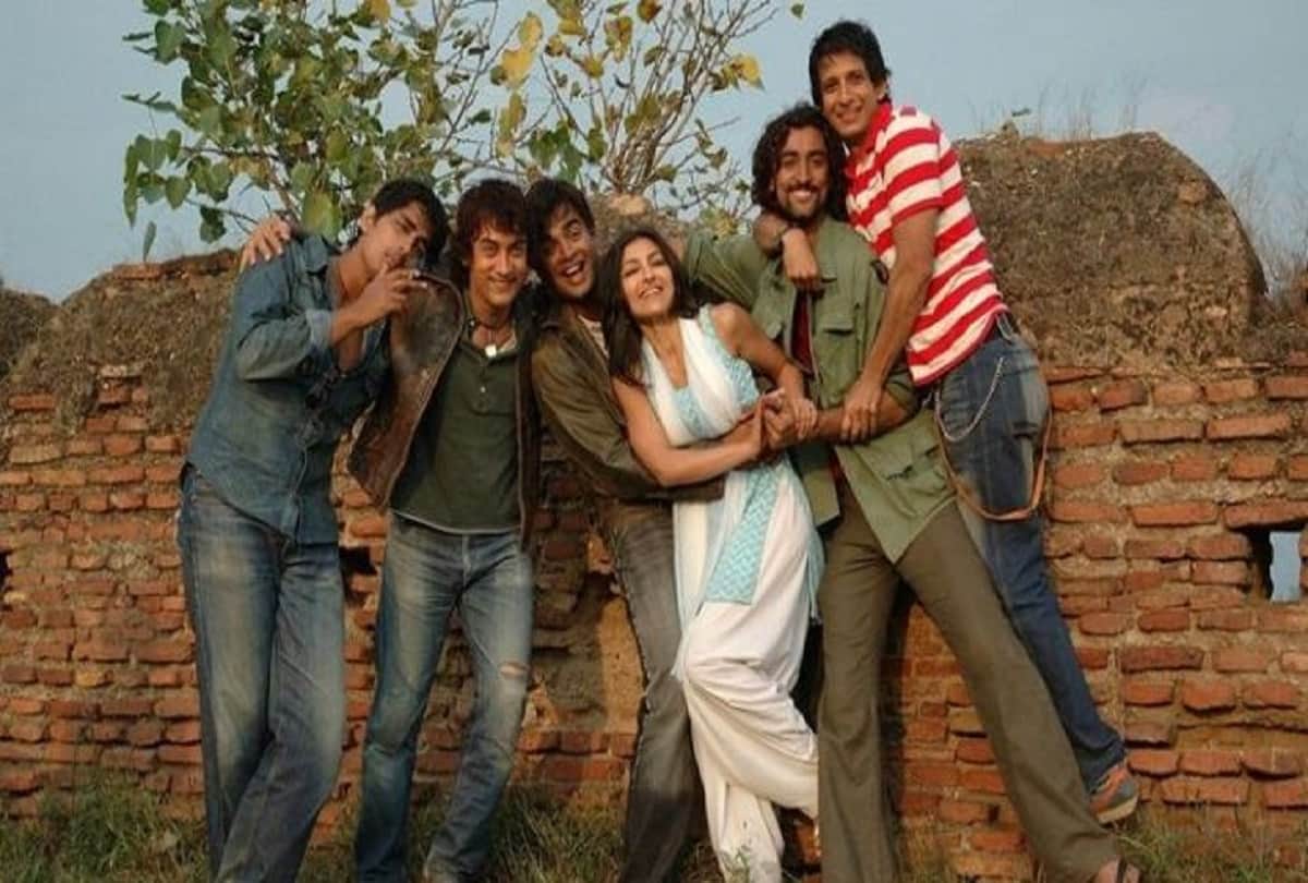 shahid kapoor did big mistake to turn down these 7 superhit film
