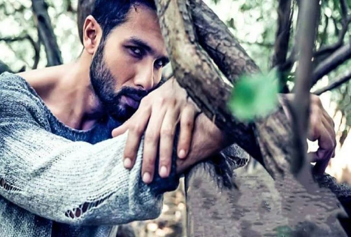 shahid kapoor did big mistake to turn down these 7 superhit film