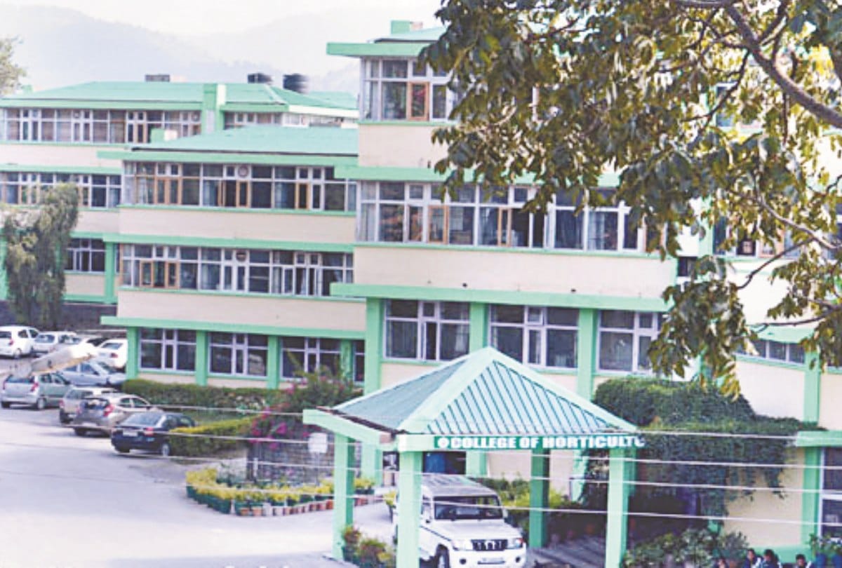 Admission of new session started in Nauni University, online portal opened