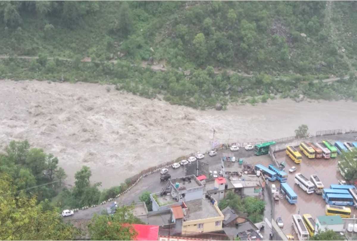 fifteen cattle and buffaloes swept away by flood after cloudburst chamba