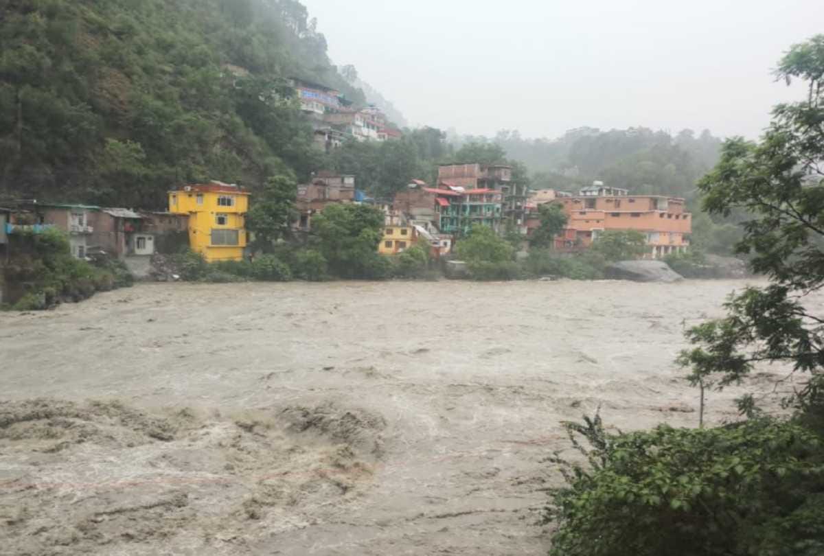 fifteen cattle and buffaloes swept away by flood after cloudburst chamba