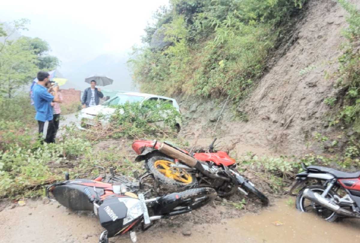 fifteen cattle and buffaloes swept away by flood after cloudburst chamba