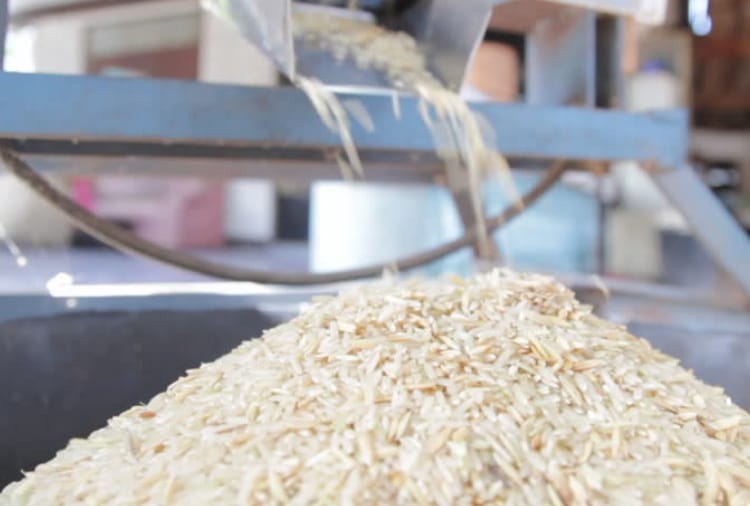  Case ragistered against 97 Rice Millers in haryana