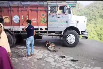 video of injured boys goes viral on social media at bilaspur