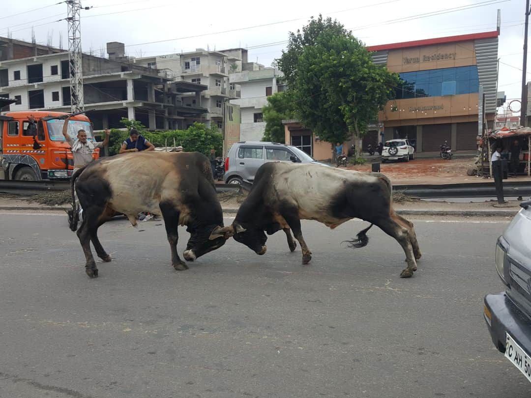 Diwali2020 diwali celebration in various indian kingdoms