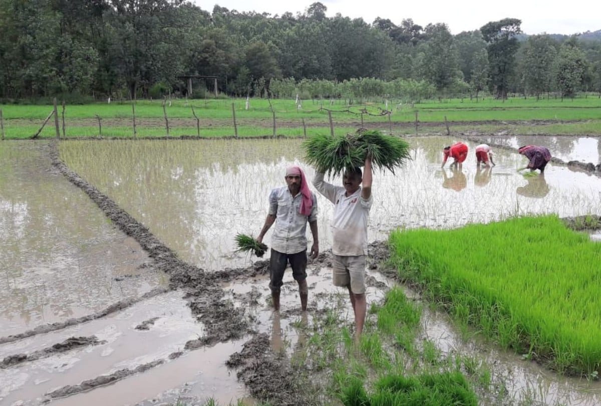Insurance claim up to Rs three lakh in 54 rupees