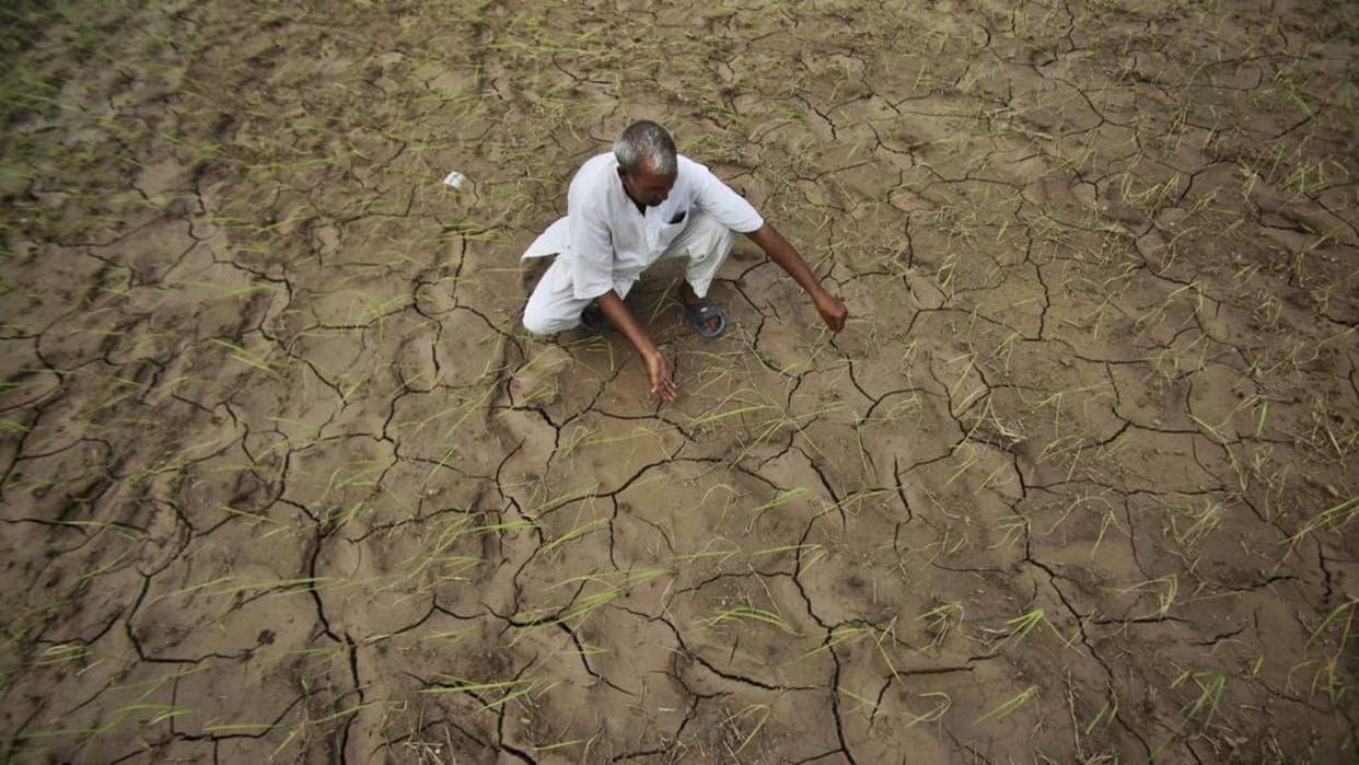  World bank report says climate change will hit living standards of 60 crore indians by 2050