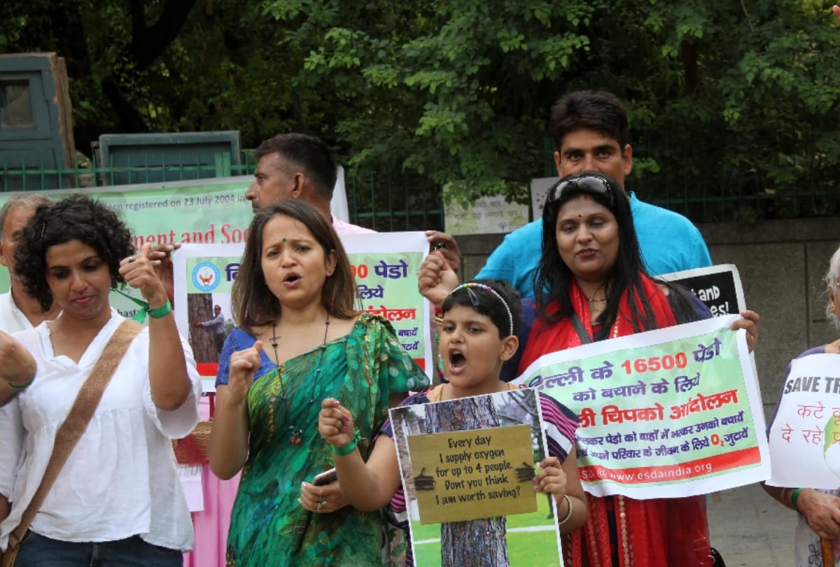 delhi shouth cutting tree matter after his permission