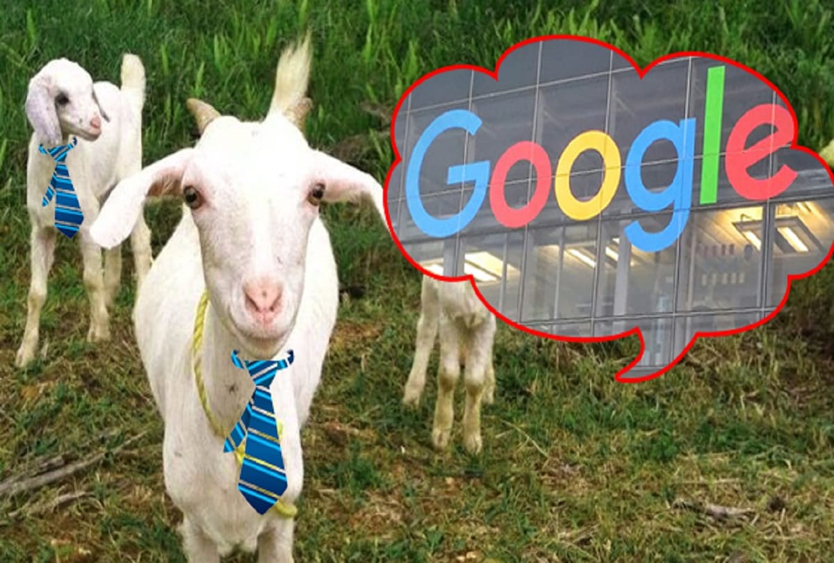 Users must know these facts about Google