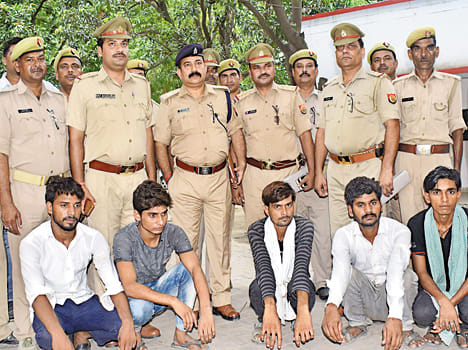 5 wehicle thief arrested