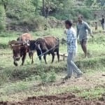 Nsso Data Says 6% of the annual income of farmers 6 thousand rupees