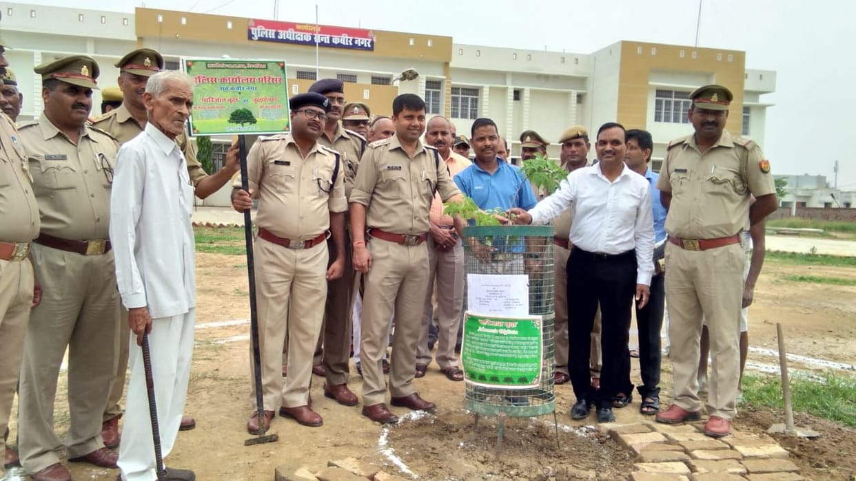 sp planted parijat