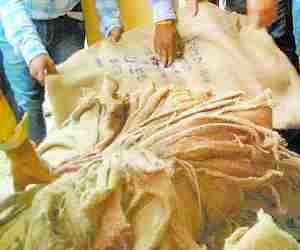 Ration of blackmarketing seized.