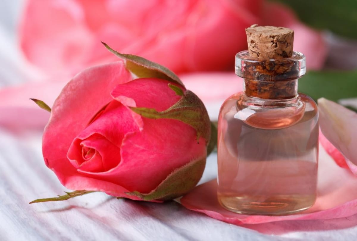 Skin Care Tips how to make rose water at home simple steps of making rose water