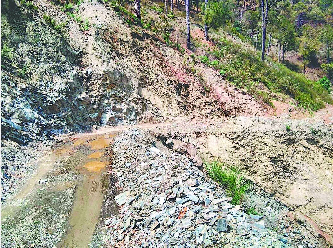 Root divert due to mud 