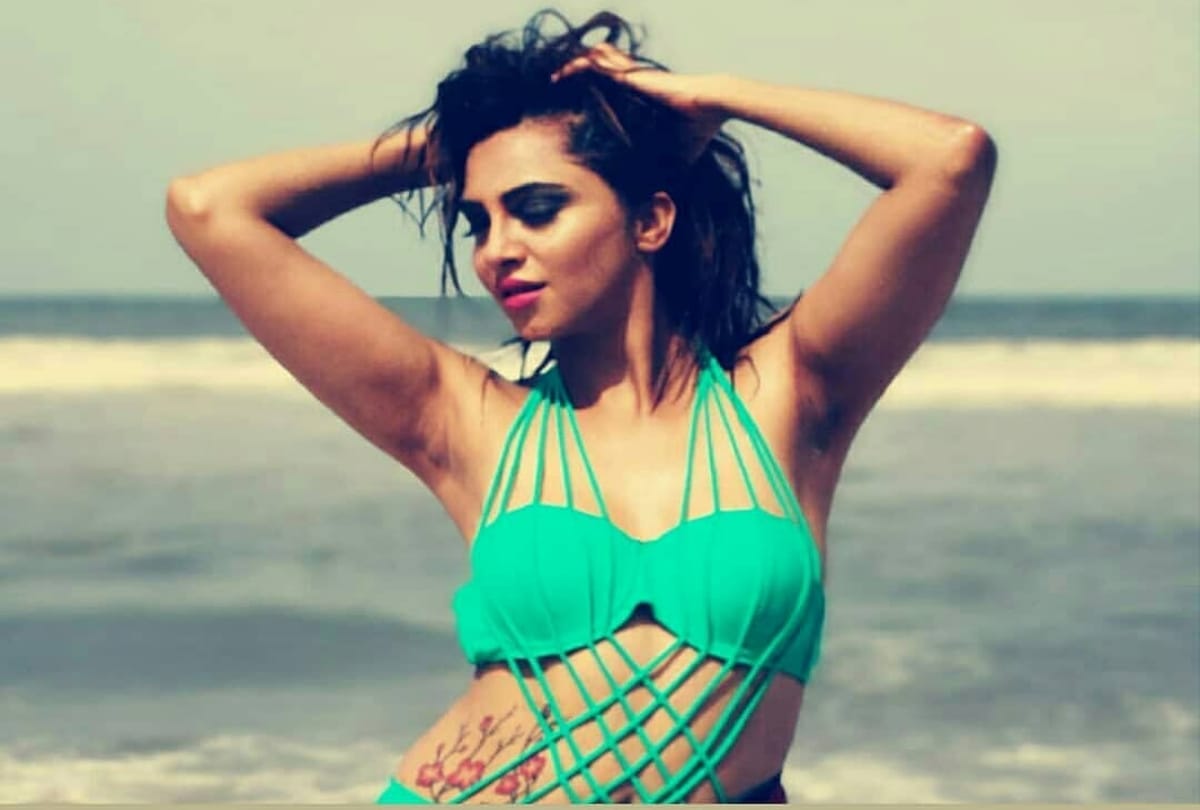 Arshi Khan dig on dipika kakar after she won Bigg Boss season 12