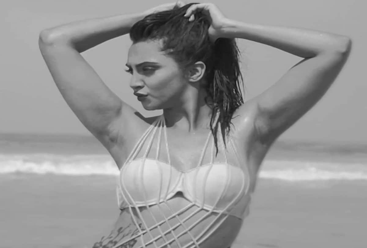 Bigg Boss ex contestant Arshi Khan bikini photos has been viral on social media