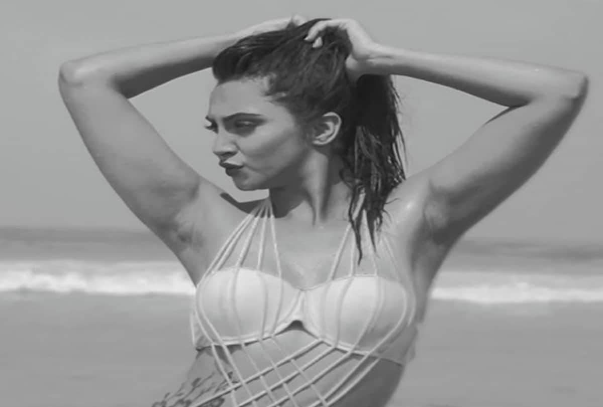 social media troll arshi khan for her bikini photoshoot