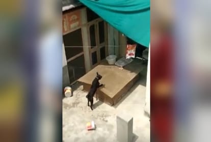 burari 11 deaths mystery: police searching these 20 unanswered question and timeline of incident