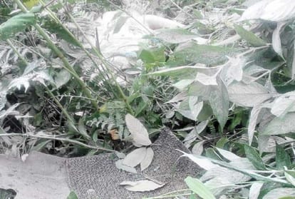  four died in road accident at nankhari shimla himachal 
