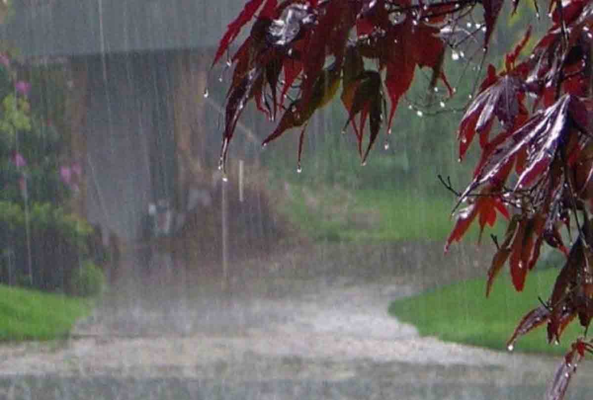 Meteorological Department warns of heavy rain 