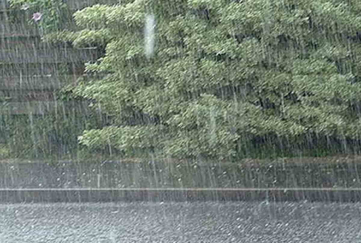 Meteorological Department warns of heavy rain 