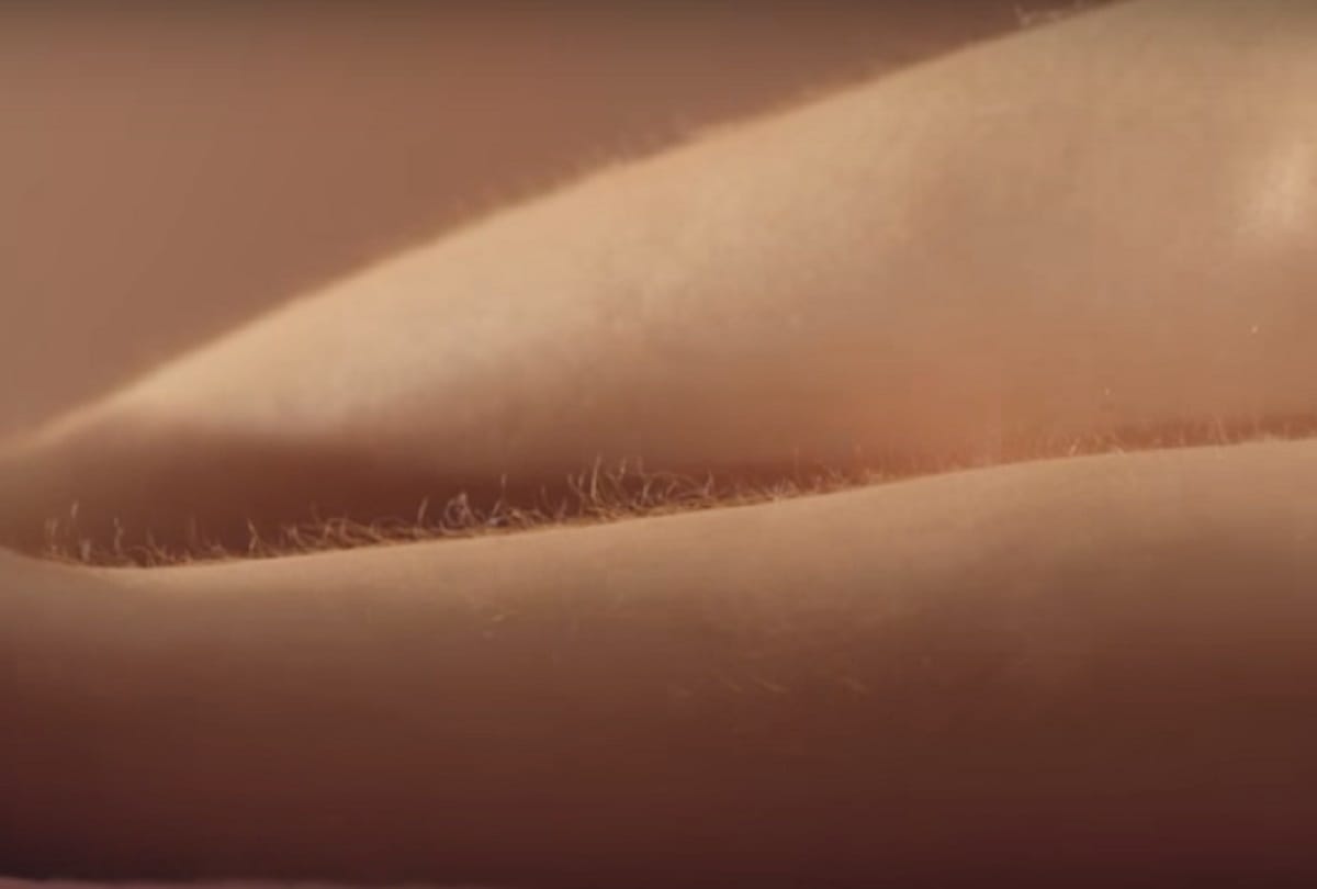 Never been a womens shaving add showing actual body hair in the past hundred years