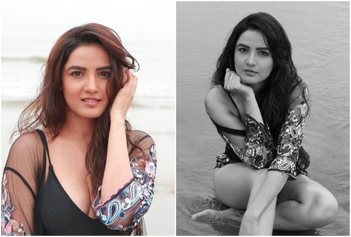 Bigg boss Jasmin Bhasin trolled for her 'manipulators' tweet, the actress hits back saying 'I have nothing against any'