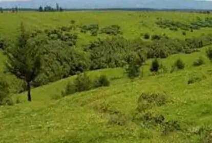  land related with golf city sold with the help of LDA 