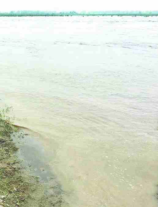 Rains on mountains rise in Yamuna