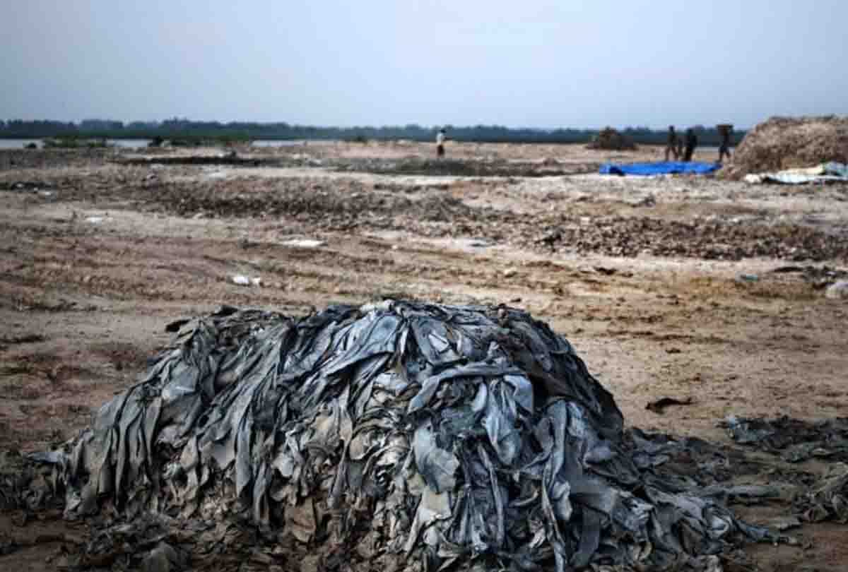 Will change the image of leather industry of Kanpur