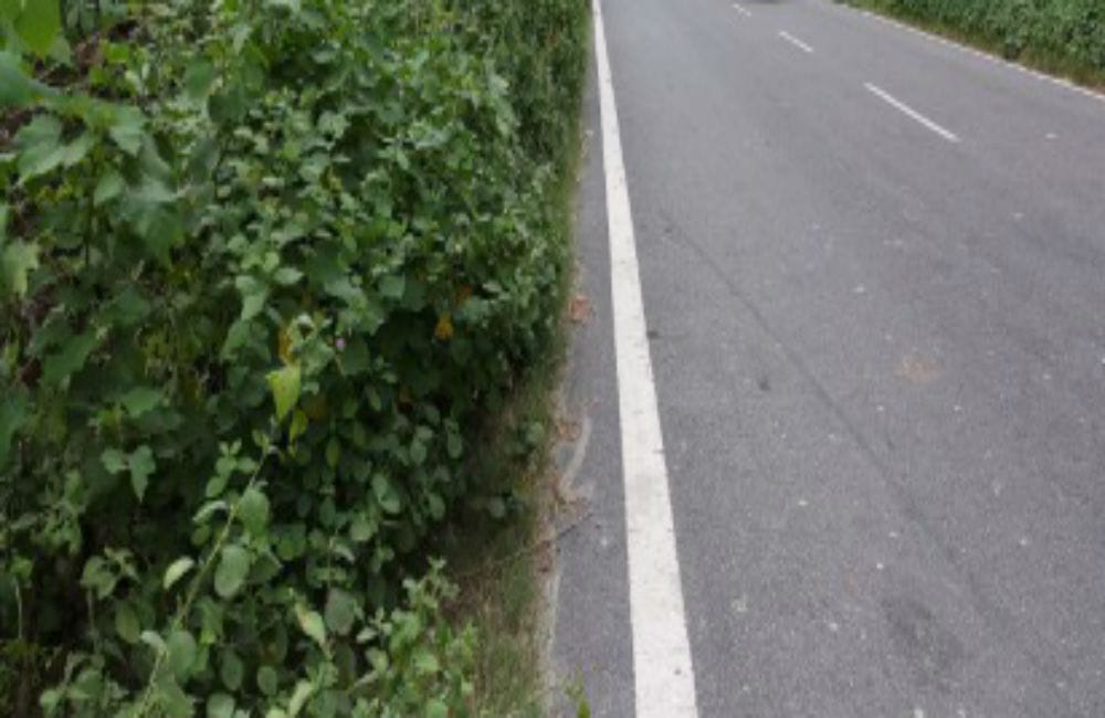 couple caught objectionable situation in bushes