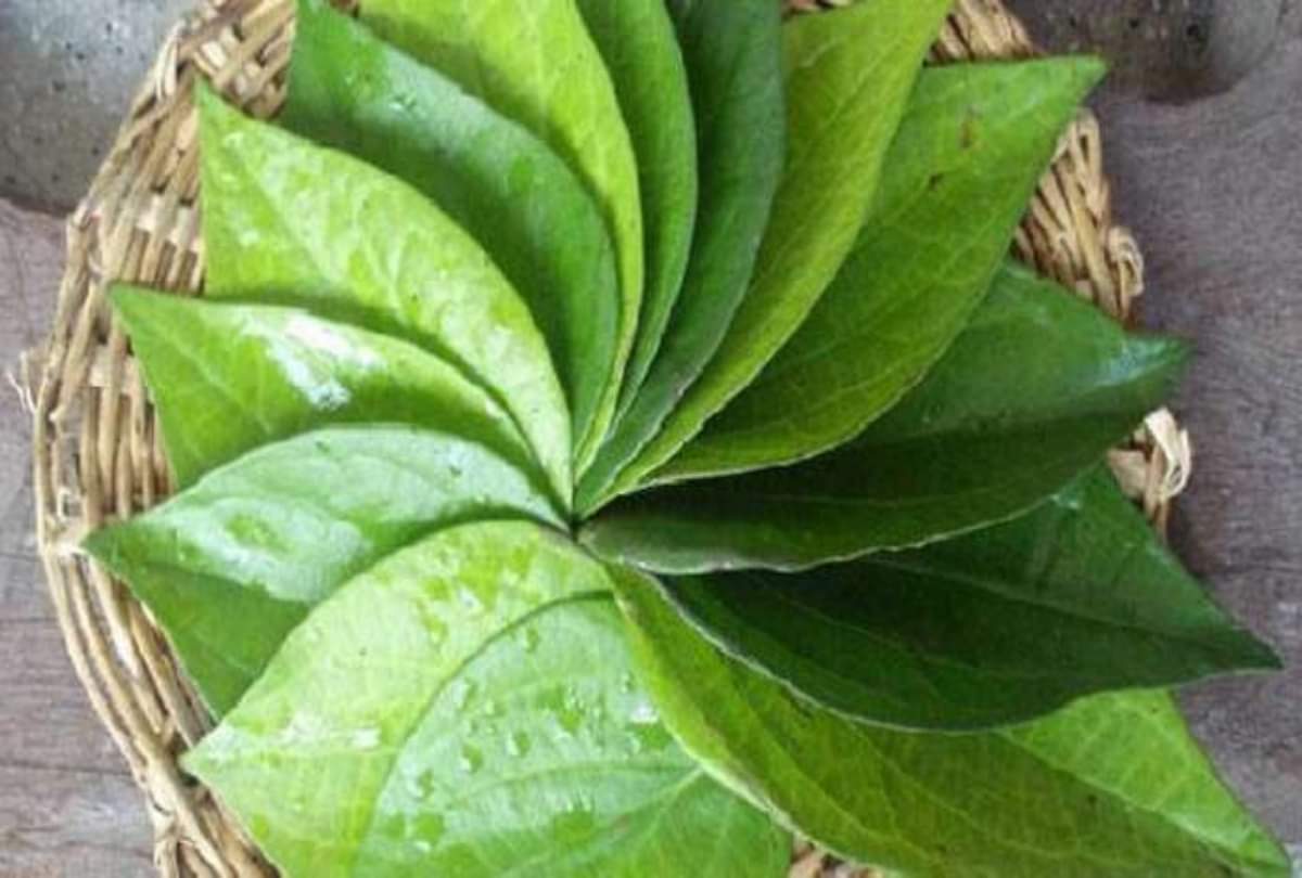 paan ke patte totke for good luck