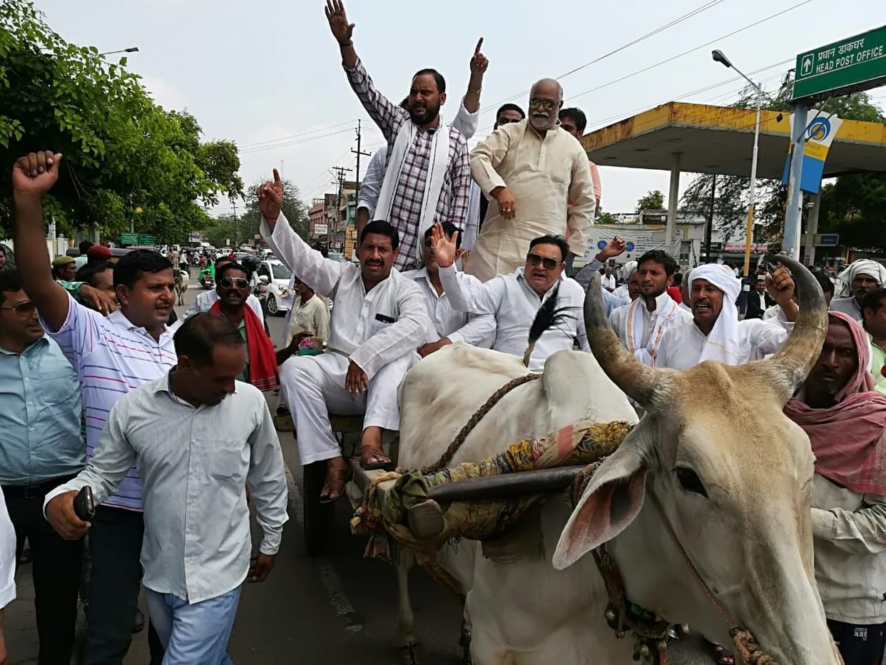 बुग्गी खींचकर कलक्ट्रेट पर रालोद ने किया प्रदर्शन
