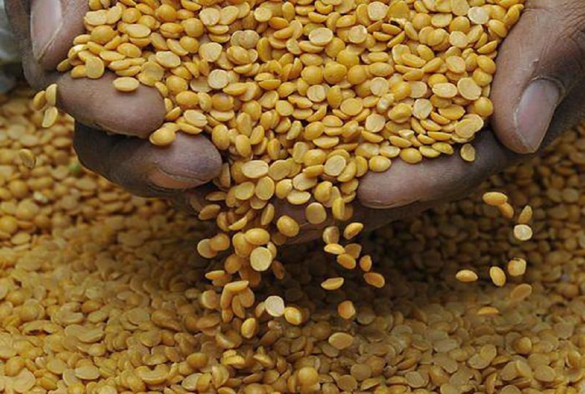 Arhar and urad dal will remain in import free category for one more year