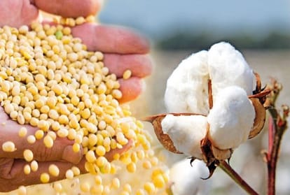 Cabinet approval for the increase in prices of 14 crops