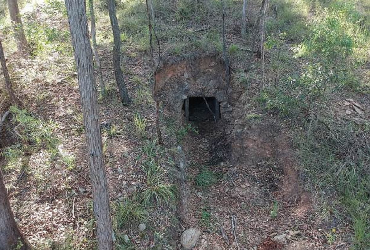 Homeowner find Mysterious treasure found in Brisbane 