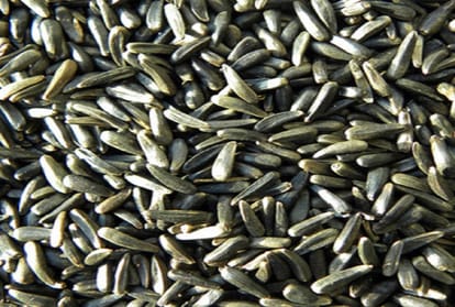 Cabinet approval for the increase in prices of 14 crops