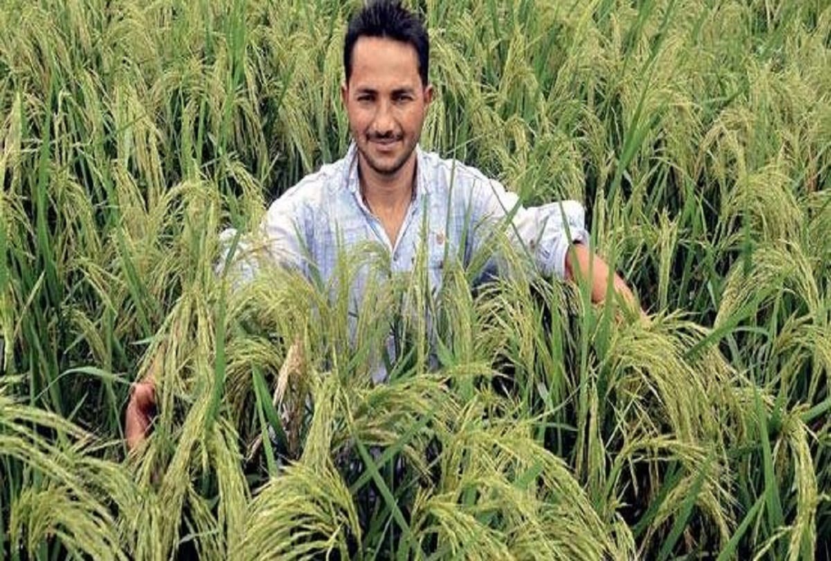 It may be seen today that the farmers stipulate the MSP one and a half times