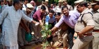 पौधरोपण कर जिलाधिकारी ने वन महोत्सव का किया शुभारंभ