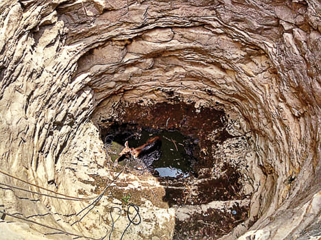 Sambhar death due to falling in well