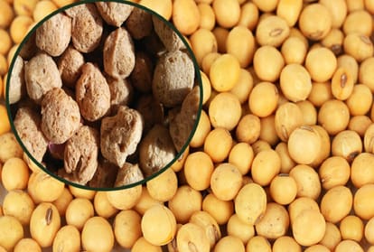 Cabinet approval for the increase in prices of 14 crops
