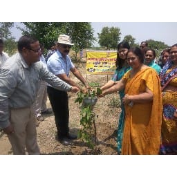 to increase greening 57 bigha land will take 50000 plant
