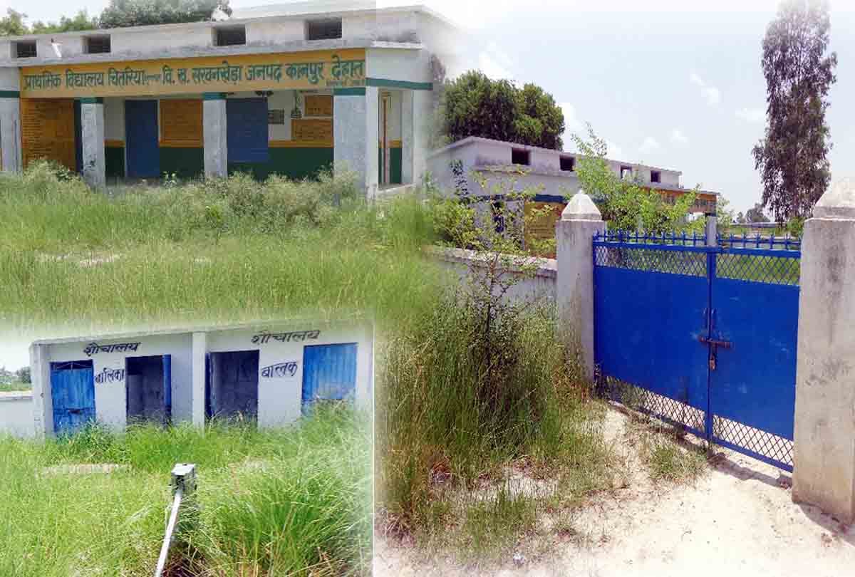  विद्यालय परिसर में खड़ी बड़ी बड़ी घास 