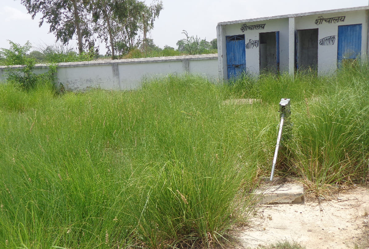 grass in prisdiy school campus