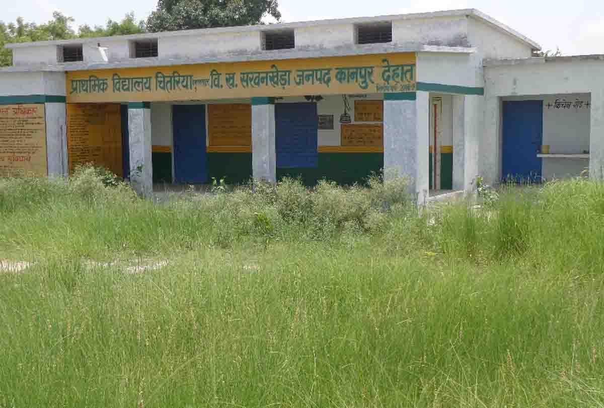 grass in prisdiy school campus