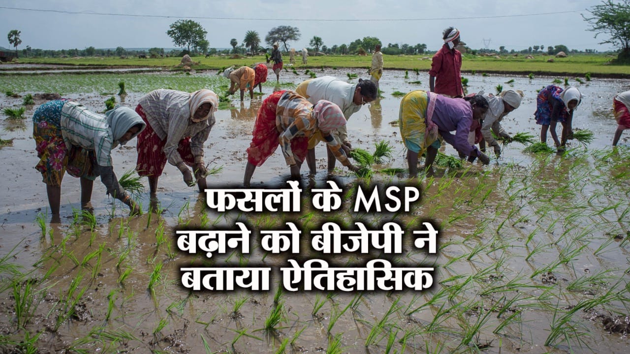 एमएसपी