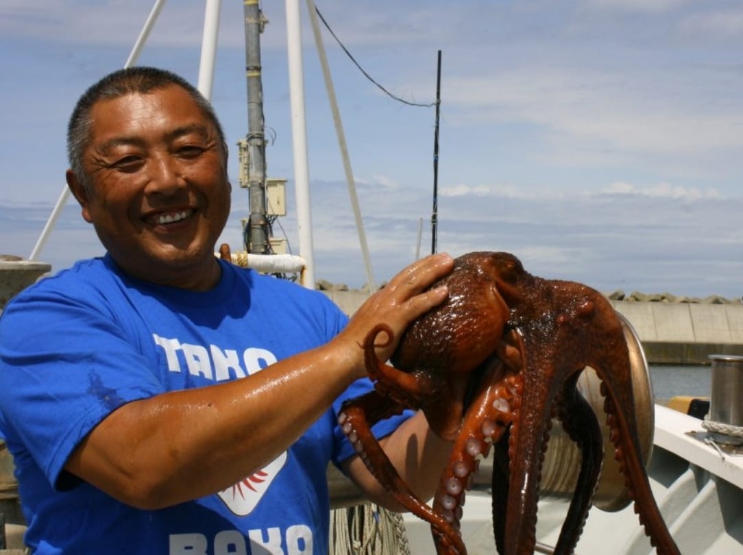 predicting octopus rabio was killed before the last match of Japan